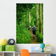 Jungle trek Wall Mural