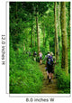 Jungle trek Wall Mural