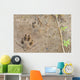 Wolf Foot Prints Soft