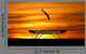 Silhouette Trampoline Gymnast Sunset