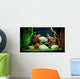 Tropical Freshwater Aquarium