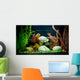 Tropical Freshwater Aquarium