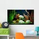 Tropical Freshwater Aquarium