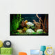 Tropical Freshwater Aquarium