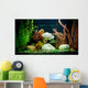 Tropical Freshwater Aquarium