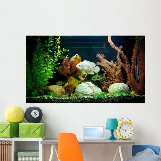 Tropical Freshwater Aquarium