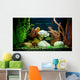 Tropical Freshwater Aquarium
