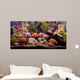 Tropical Freshwater Aquarium