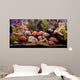 Tropical Freshwater Aquarium