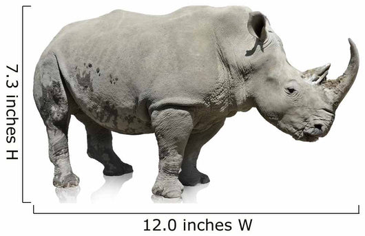 Rhinoceros Wall Decal