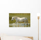 White Horse