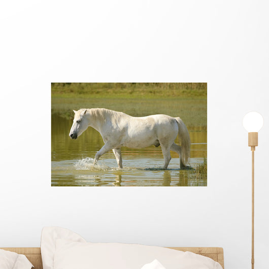 White Horse