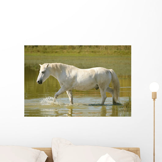 White Horse