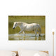 White Horse