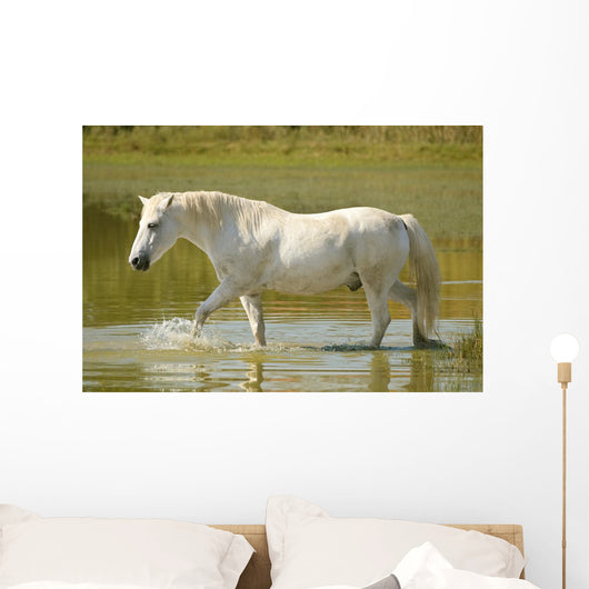 White Horse