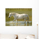 White Horse
