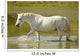 White Horse