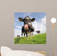 Holstein Cow With Huge Tongue Wall Mural