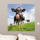 Holstein Cow With Huge Tongue Wall Mural