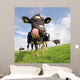 Holstein Cow With Huge Tongue Wall Mural