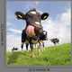 Holstein Cow With Huge Tongue Wall Mural