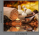 Outdoor Spa Massage Setting