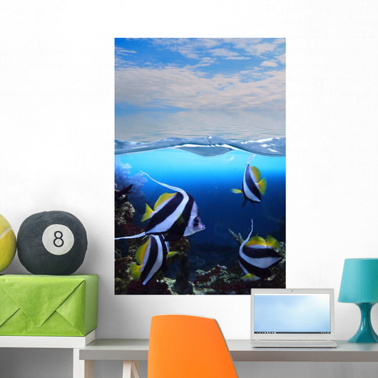 Group Fishes Moorish Idol