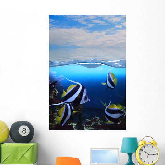 Group Fishes Moorish Idol