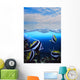 Group Fishes Moorish Idol