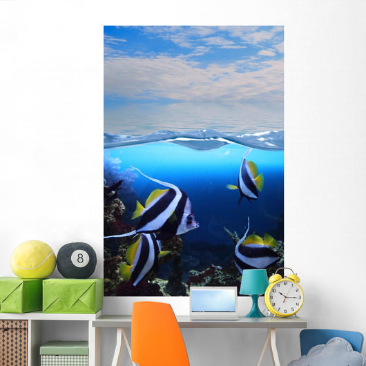 Group Fishes Moorish Idol