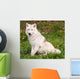 Arctic Wolf Looking Camera Wall Mural