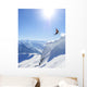 Dream Winter Kitzb Hel