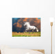 White Andalusian Horse Runs