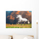 White Andalusian Horse Runs