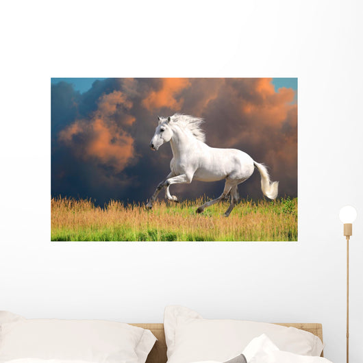 White Andalusian Horse Runs – Wallmonkeys