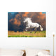 White Andalusian Horse Runs