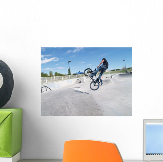Biker in Skate Park Wall Mural