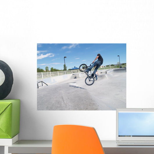 Biker in Skate Park Wall Mural