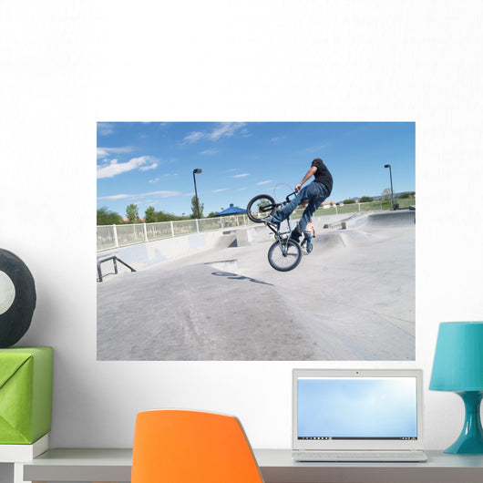 Biker in Skate Park Wall Mural