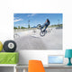 Biker in Skate Park Wall Mural