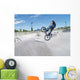 Biker in Skate Park Wall Mural