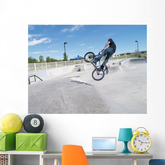 Biker in Skate Park Wall Mural
