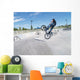 Biker in Skate Park Wall Mural