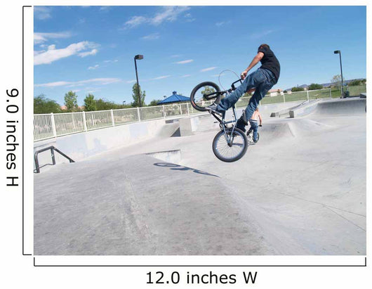 Biker in Skate Park Wall Mural
