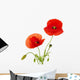 Red Poppies