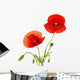 Red Poppies