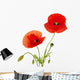 Red Poppies