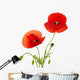 Red Poppies
