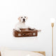 Dog with Suitcase