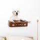 Dog with Suitcase
